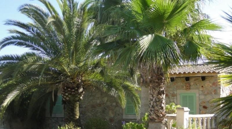 Balearic Islands - Montuïri - 30000m2