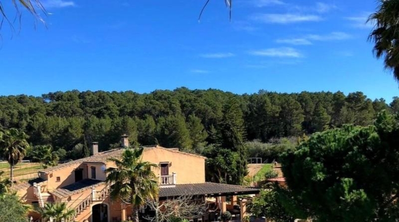 Balearic Islands - Montuïri - 30000m2