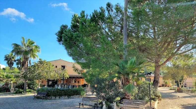 Balearic Islands - Montuïri - 30000m2