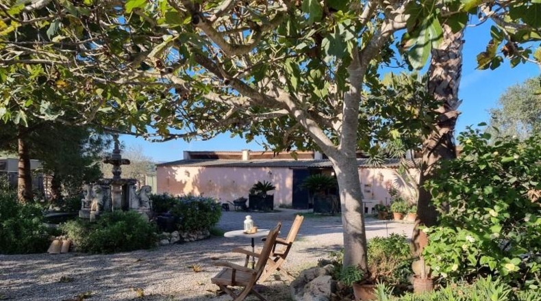 Balearic Islands - Montuïri - 30000m2