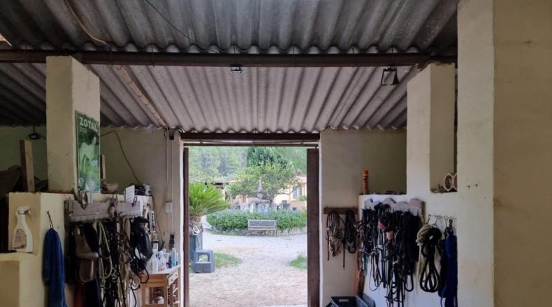 Balearic Islands - Montuïri - 30000m2