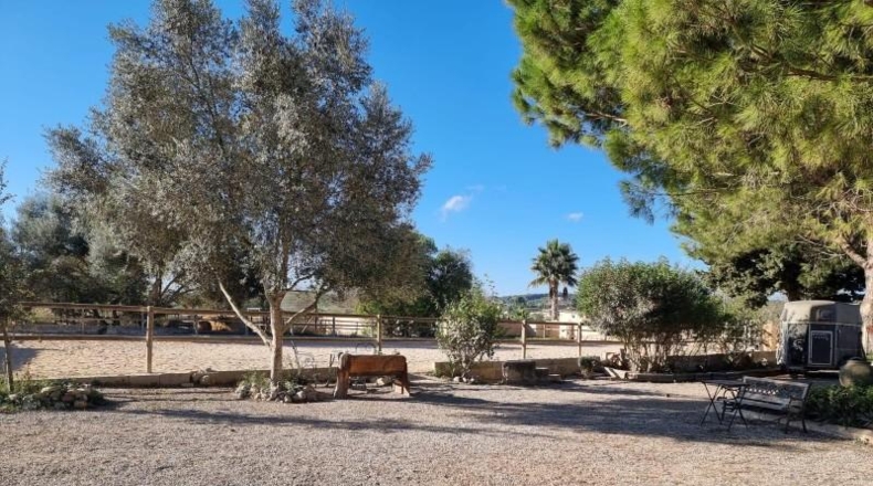 Balearic Islands - Montuïri - 30000m2