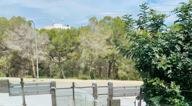 Islas Baleares - Calvià - 555m2