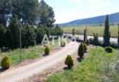 Country house with land for sale on España, Fontanars dels Alforins, ref: TR282351 photo