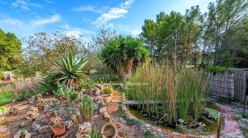 Islas Baleares - Santa Eulalia del Río - 4300m2