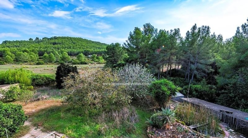 Islas Baleares - Santa Eulalia del Río - 4300m2