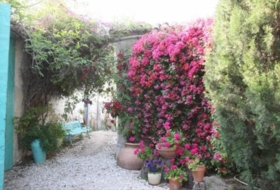 Foto 15