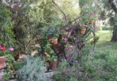 Xalet independent amb terreny en venda a la España, Mutxamel, ref.: TR140975 foto