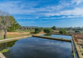 Xalet independent amb terreny en venda a la España, Palma, ref.: TR180359 foto