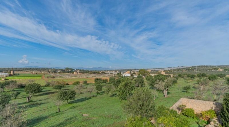 Islas Baleares - Palma - 1485m2