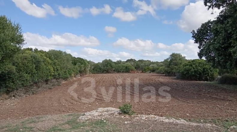 Islas Baleares - Alayor - 523000m2