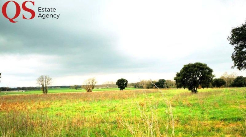 Gerona - Sant Julià de Ramis - 31000m2