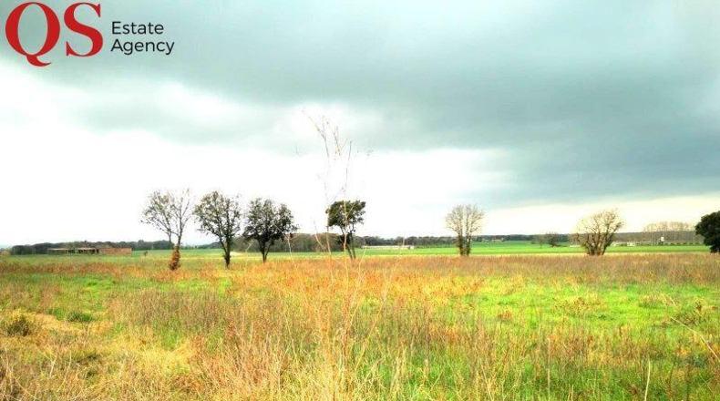 Gerona - Sant Julià de Ramis - 31000m2