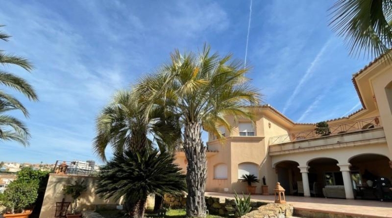 Murcia - Murcia - 1500m2