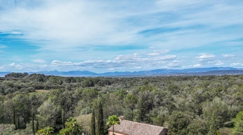 Valencia - Albaida - 42000m2