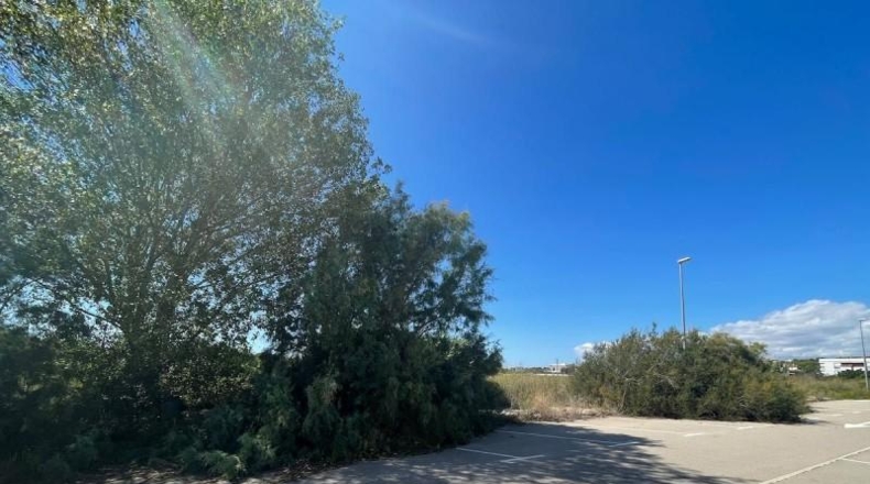 Tarragona - Torredembarra - 10590m2