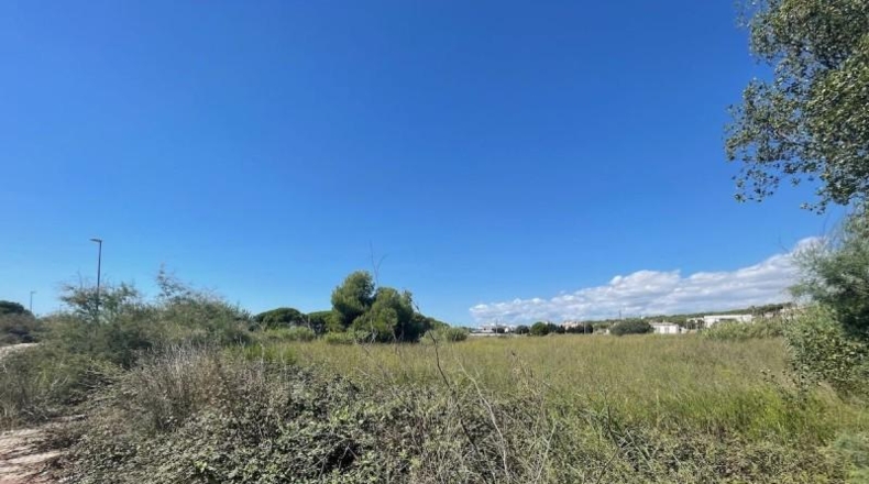 Tarragona - Torredembarra - 10590m2