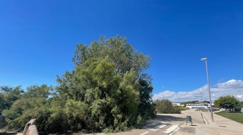 Tarragona - Torredembarra - 10590m2