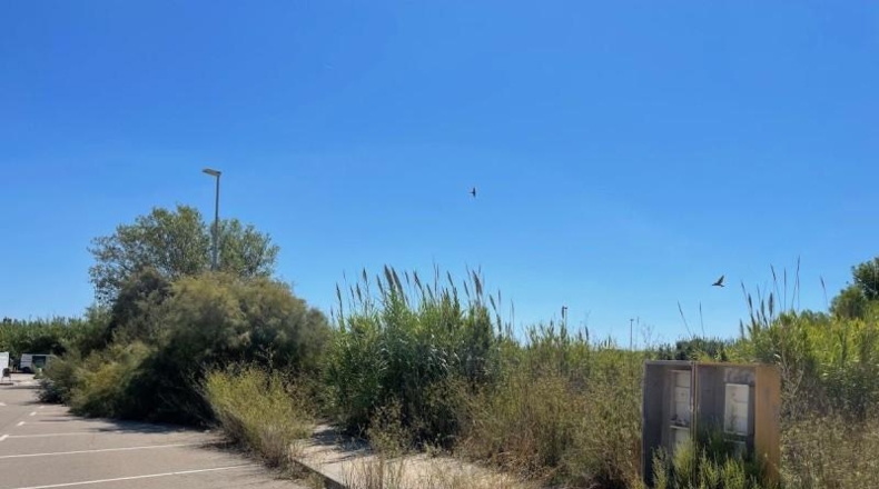 Tarragona - Torredembarra - 10590m2