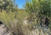 Land suitable for development for sale on España, Torredembarra, ref: TR341073 photo