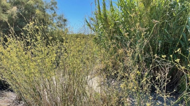 Tarragona - Torredembarra - 10590m2