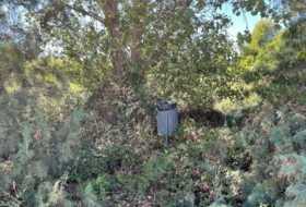 Foto 14