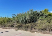 Land suitable for development for sale on España, Torredembarra, ref: TR341073 photo