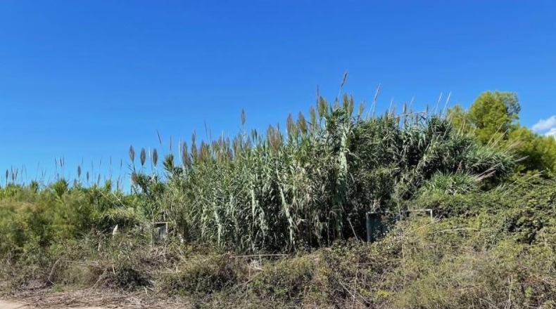 Tarragona - Torredembarra - 10590m2