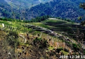 House with land for sale on España, Falset, ref: TR295473 photo