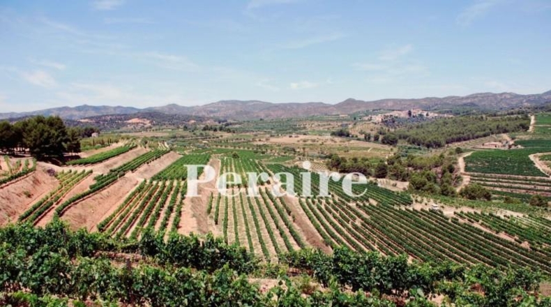 Tarragona - Falset - 250000m2