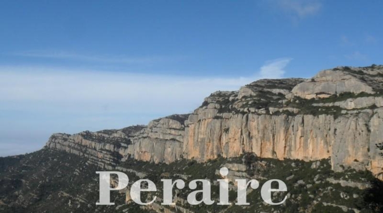 Tarragona - Falset - 250000m2