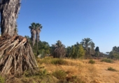 Casa amb terreny en venda a la España, Marbella, ref.: TR280524 foto
