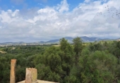 Xalet independent amb terreny en venda a la España, Sant Llorenç des Cardassar, ref.: TR219452 foto