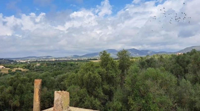 Balearic Islands - San Lorenzo del Cardessar - 200000m2