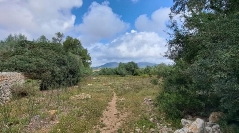 Balearic Islands - San Lorenzo del Cardessar - 200000m2