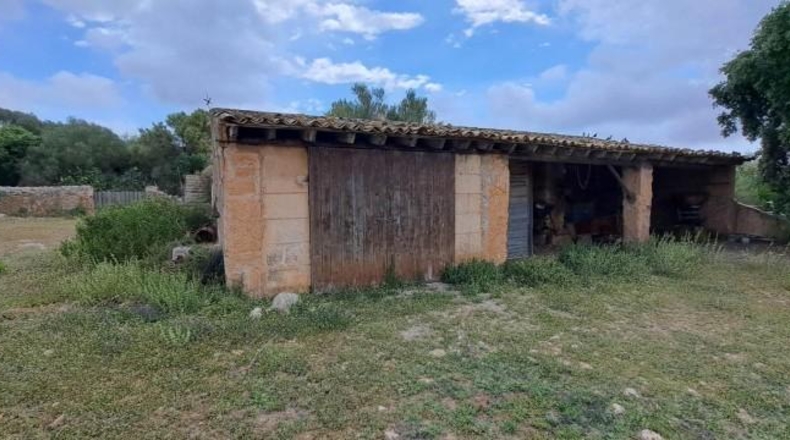 Balearic Islands - San Lorenzo del Cardessar - 200000m2