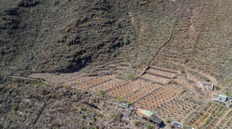 Santa Creu de Tenerife - Santiago del Teide - 48000m2