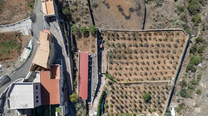 Santa Creu de Tenerife - Santiago del Teide - 48000m2