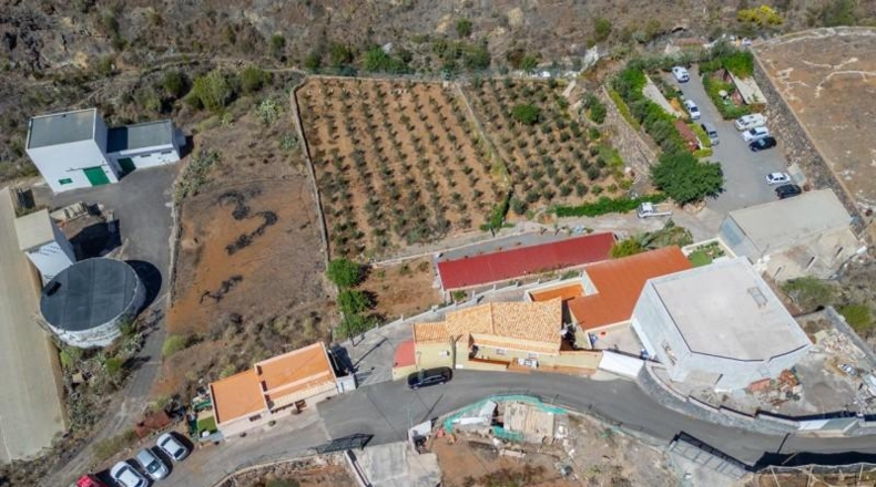 Santa Creu de Tenerife - Santiago del Teide - 48000m2