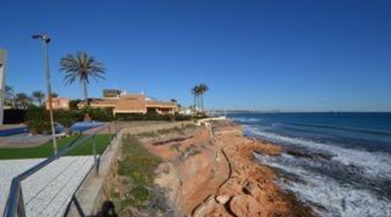 Alicante - Torrevieja - 1339m2