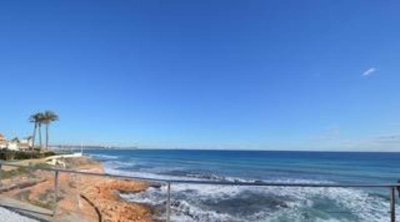 Alicante - Torrevieja - 1339m2