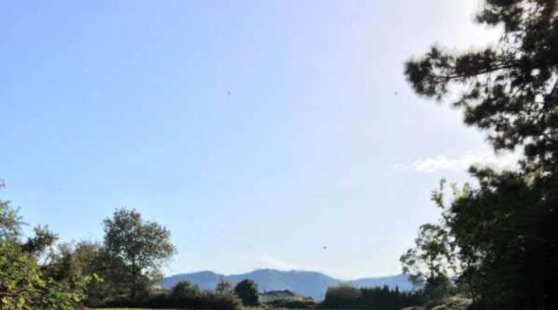 Asturias - Cudillero - 104302m2