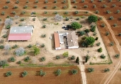 House with land for sale on España, Solana de los Barros, ref: TR317126 photo