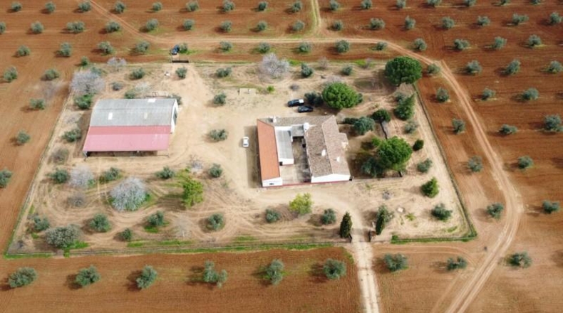 Badajoz - Solana de los Barros - 1850000m2
