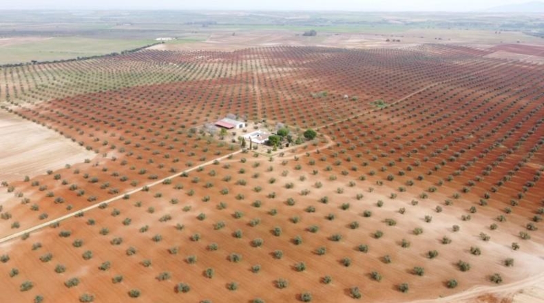 Badajoz - Solana de los Barros - 1850000m2