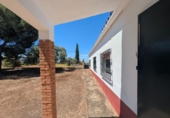 House with land for sale on España, Solana de los Barros, ref: TR317126 photo