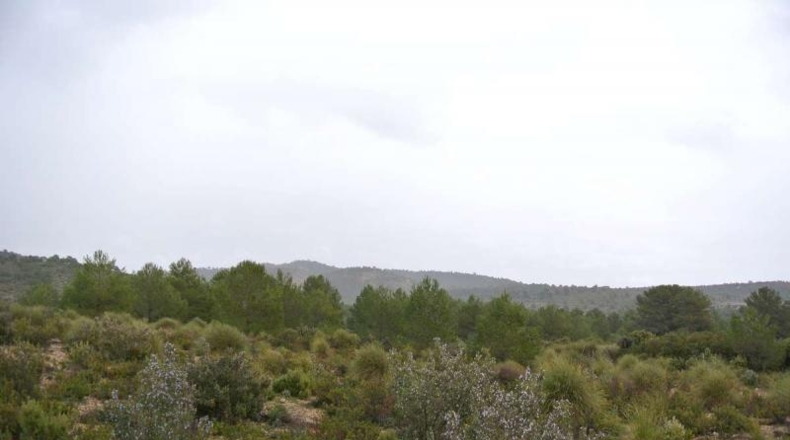 Valencia - Valencia - 5950000m2