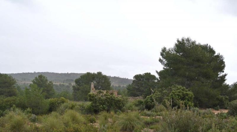 Valencia - Valencia - 5950000m2