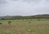 Земля на продажу у города Йекла Фото