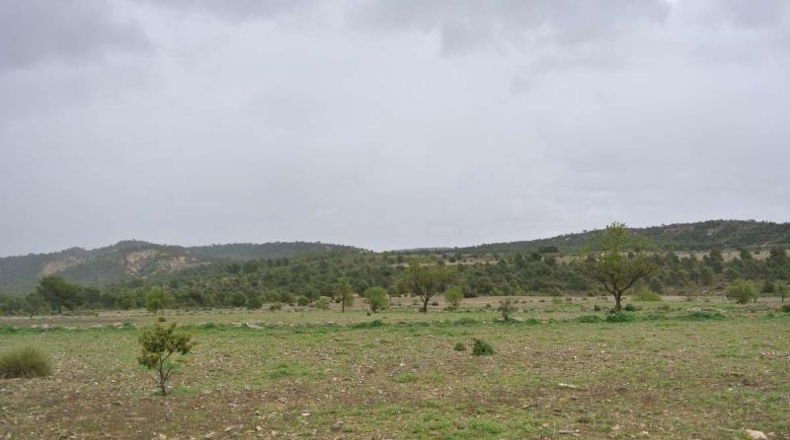 Valencia - Valencia - 5950000m2